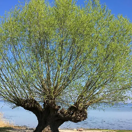 Lovely In With Wifi - Dme478 Appartamento Wißmar