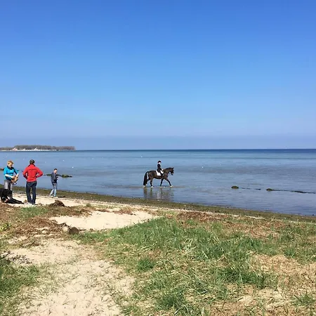 Appartamento Lovely In With Wifi - Dme478