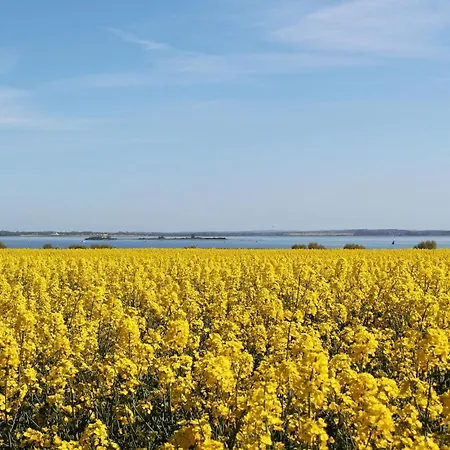 Lovely In With Wifi - Dme478